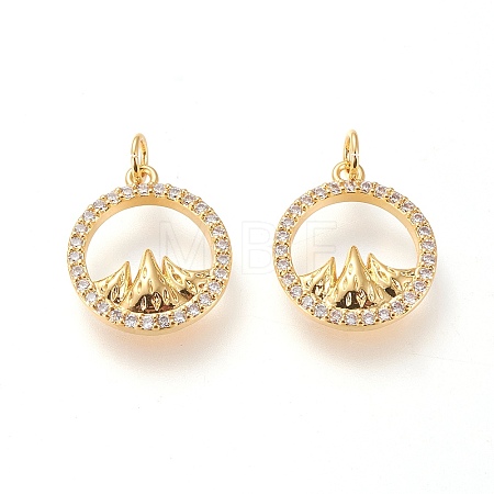 Brass Micro Pave Clear Cubic Zirconia Charms X-ZIRC-L098-025G-1