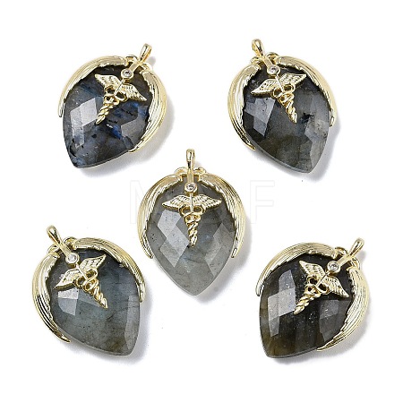 Natural Labradorite Pendants G-U019-01G-02-1