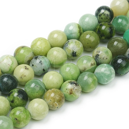 Natural Serpentine Beads Strands X-G-G829-06-8mm-1