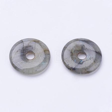 Natural Labradorite Pendants G-F524-B13-1
