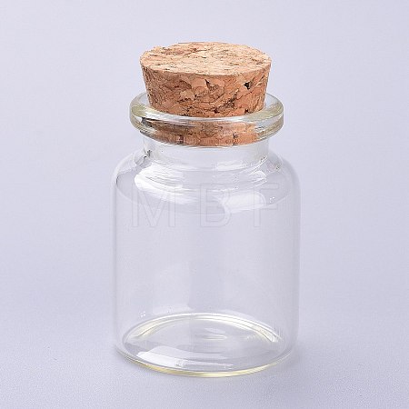 Glass Bottles LS-AJEW-H102-06A-1