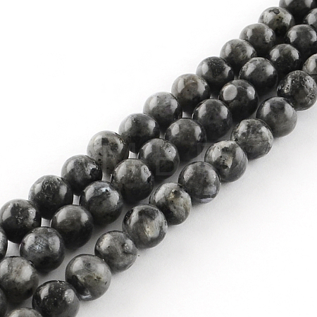 Natural Larvikite Round Beads Strands X-G-R342-6mm-09-1