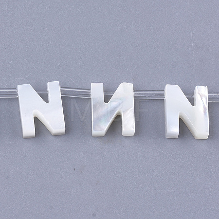 Sea Shell Beads X-SHEL-T012-60N-1
