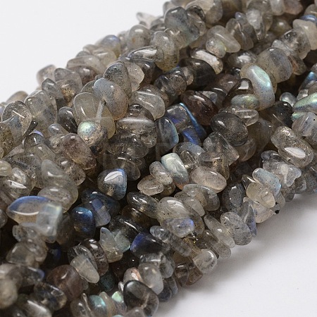 Natural Labradorite Chip Bead Strands X-G-M298-06-1