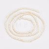  1 Strand Natural Cultured Freshwater Pearl Beads Strands PEAR-NB0001-36-4