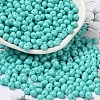 6/0 Opaque Baking Paint Glass Seed Beads X1-SEED-M012-02A-01-1