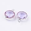 Silver Color Plated Brass Glass Flat Round Charms GLAA-M003-A-12S-2