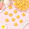 Opaque Resin Cabochons RESI-YW0005-38-1-4