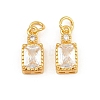 Brass Pave Cubic Zirconia Charms CU-CBA3D67-07G-06-1