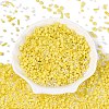 Glass Seed Beads & Bugle Beads SEED-Q041-04D-2