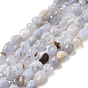 Natural Blue Lace Agate Beads Strands G-L608-A02-01B-2