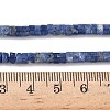 Natural Sodalite Beads Strands G-P468-19-3