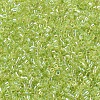 MIYUKI Delica Beads SEED-X0054-DB0174-3