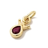 Brass Cubic Zirconia Charms KK-G554-01C-04-2