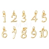 Brass Micro Pave Cubic Zirconia Pendants KK-D019-28G-1