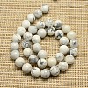 Natural Howlite Beads Strands G-I107-10mm-2