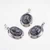 Natural Snowflake Obsidian Pendants G-K252-A06-2