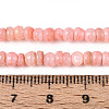 Natural Freshwater Shell Dyed Beads Strands SHEL-T020-29A-05-4