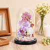 Arch Glass Dome Cover AJEW-WH0596-866D-03-4