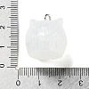Translucent Resin Pendants RESI-R445-01B-3