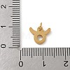 304 Stainless Steel Charms LS-STAS-R001-04G-02-3