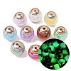 Opaque Luminous Resin & CCB Plastic Beads RESI-G119-15C-1