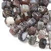 Natural Botswana Agate Beads Strands G-G453-G10-7x12mm-4
