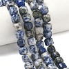 Natural Blue Spot Jasper Beads Strands G-C267-A20-1