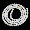 Natural Freshwater Shell Beads Strands BSHE-T009A-01A-3
