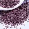 MIYUKI Delica Beads SEED-MY11-DB1848-1