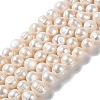 Natural Cultured Freshwater Pearl Beads Strands PEAR-E018-09-1