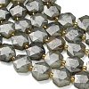 Natural Gray Labradorite Beads Strands G-L660-A02-01-4