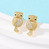 Brass Micro Pave Clear Cubic Zirconia Owl Stud Earrings EJEW-F400-15G-1