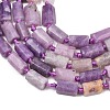Natural Lepidolite/Purple Mica Stone Beads Strands G-A314-A03-01-4