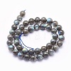 Natural Labradorite Beads Strands G-O166-08-10mm-2