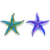 2Pcs 2 Colors Electroplated Starfish Glass Display Decorations DJEW-FH0001-59-1