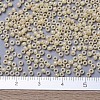 MIYUKI Round Rocailles Beads SEED-X0054-RR0487-4