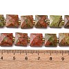 Natural Unakite Beads Strands G-F839-A20-01-3