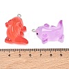 Resin Pendants RE-CBA14F0-09-3