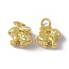 Rack Plating Brass Charms X-KK-C007-17G-3