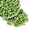 Glass Seed Beads SEED-T009-02K-2