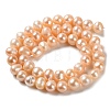 Natural Cultured Freshwater Pearl Beads Strands PEAR-E018-28-2