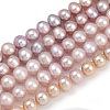 Natural Cultured Freshwater Pearl Beads Strands PEAR-I007-07X-05C-2