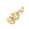 Brass Pendants KK-L227-012G-02-2