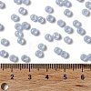 Glass Seed Beads SEED-H002-E-A1413-4