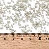 12/0 Electroplate Glass Seed Beads SEED-Q003-S-4