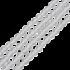 Transparent Glass Beads Strands EGLA-A034-T8mm-MD19-2