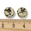 Natural Dalmatian Jasper Beads X-G-Q173-03A-24-3