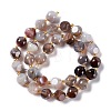 Natural Botswana Agate Beads Strands G-A030-B38-03-3