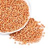 Picasso Glass Seed Beads GL-N001-01B-09-1
